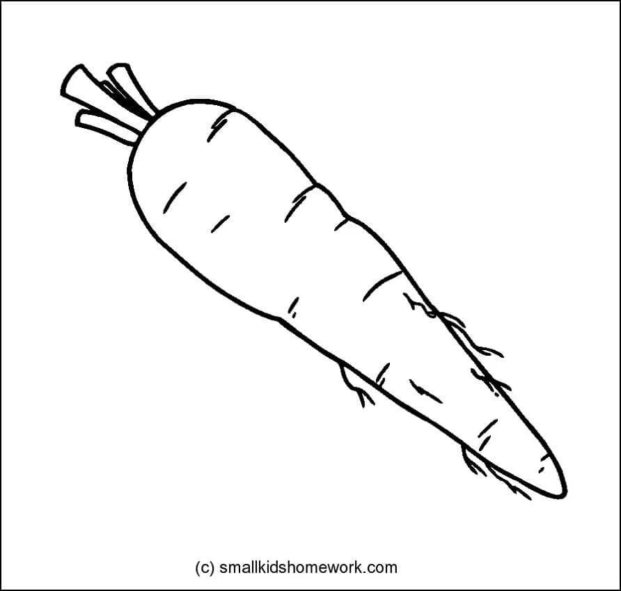 Step by Step To Draw a Carrot. Drawing Tutorial a Carrot. Drawing Lesson  for Children. Vector Illustration Stock Illustration - Illustration of  children, carrot: 251464680