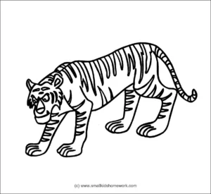 tiger outline picture