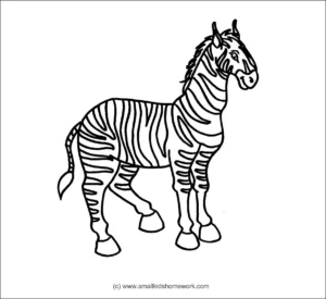 zebra outline picture