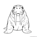 walrus-outline-picture