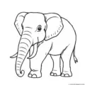 elephant-outline-picture