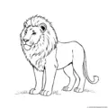 lion-outline-picture