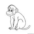 monkey-outline-picture