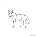 wolf-outline-picture