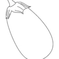 brinjal
