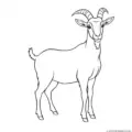 goat-outline-picture