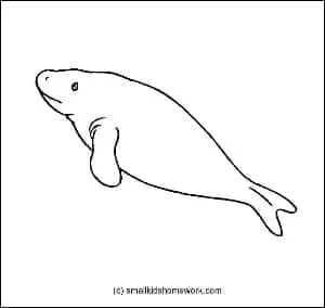 dugong-outline-image