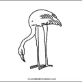 flamingo-outline-picture