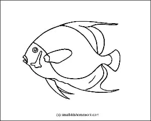 french-angelfish-outline-image