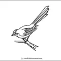 sparrow-outline-picture