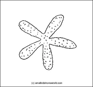 starfish-outline-image