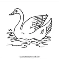 swan-outline-picture