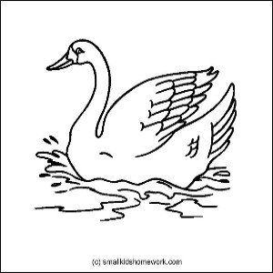 swan-outline-picture