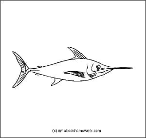 swordfish-outline-image