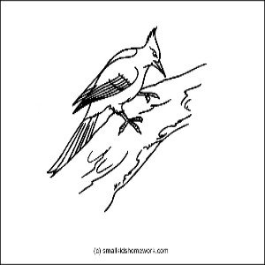 woodpecker-outline-picture