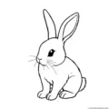 rabbit-outline-picture