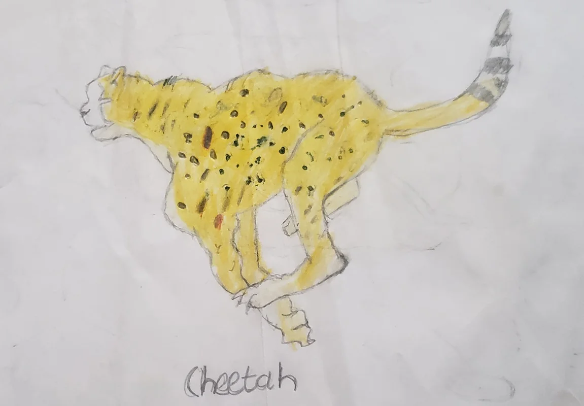 cheetah-crayondrawing cheetah-crayondrawing